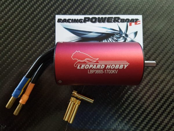 LBP 3665  2,5 Y 1700KV  Motor Léopard