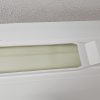 F1 Trident Fibre de verre – Image 3